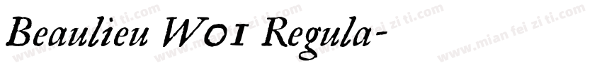 Beaulieu W01 Regula字体转换